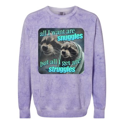 All I Want Are Snuggles But All I Get Are Struggles Raccoon Word Art Meme Colorblast Crewneck Sweatshirt