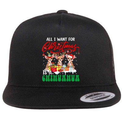 All I Want For Xmas Is A Chihuahua Three Santa Reindeer Dogs Gift Flatbill Hat
