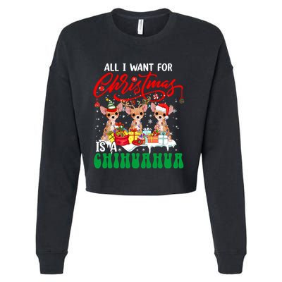 All I Want For Xmas Is A Chihuahua Three Santa Reindeer Dogs Gift Cropped Pullover Crew