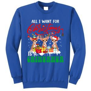 All I Want For Xmas Is A Chihuahua Three Santa Reindeer Dogs Gift Sweatshirt