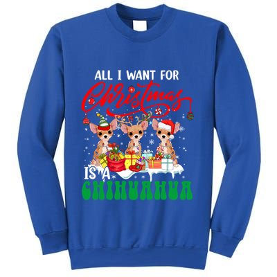 All I Want For Xmas Is A Chihuahua Three Santa Reindeer Dogs Gift Sweatshirt