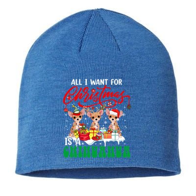 All I Want For Xmas Is A Chihuahua Three Santa Reindeer Dogs Gift Sustainable Beanie