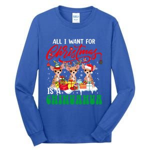 All I Want For Xmas Is A Chihuahua Three Santa Reindeer Dogs Gift Tall Long Sleeve T-Shirt