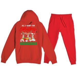 All I Want For Xmas Is A Chihuahua Three Santa Reindeer Dogs Gift Premium Hooded Sweatsuit Set