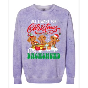 All I Want For Xmas Is A Dachshund Three Santa Reindeer Dogs Gift Colorblast Crewneck Sweatshirt