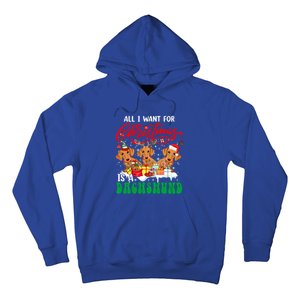 All I Want For Xmas Is A Dachshund Three Santa Reindeer Dogs Gift Hoodie