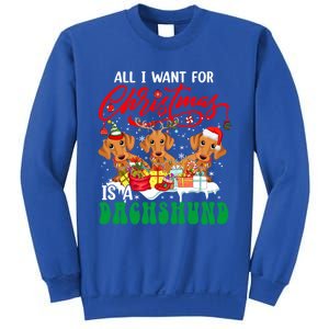 All I Want For Xmas Is A Dachshund Three Santa Reindeer Dogs Gift Sweatshirt