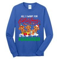 All I Want For Xmas Is A Dachshund Three Santa Reindeer Dogs Gift Tall Long Sleeve T-Shirt