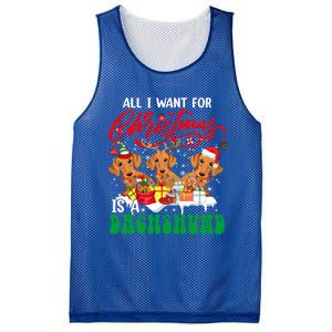 All I Want For Xmas Is A Dachshund Three Santa Reindeer Dogs Gift Mesh Reversible Basketball Jersey Tank