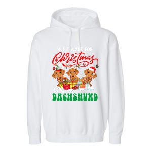 All I Want For Xmas Is A Dachshund Three Santa Reindeer Dogs Gift Garment-Dyed Fleece Hoodie