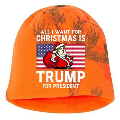 All I Want For Christmas Is Trump For President Trump Back Kati - Camo Knit Beanie