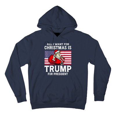 All I Want For Christmas Is Trump For President Trump Back Hoodie