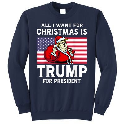 All I Want For Christmas Is Trump For President Trump Back Sweatshirt