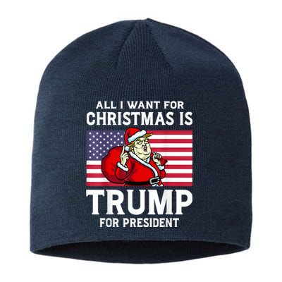 All I Want For Christmas Is Trump For President Trump Back Sustainable Beanie