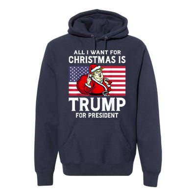 All I Want For Christmas Is Trump For President Trump Back Premium Hoodie