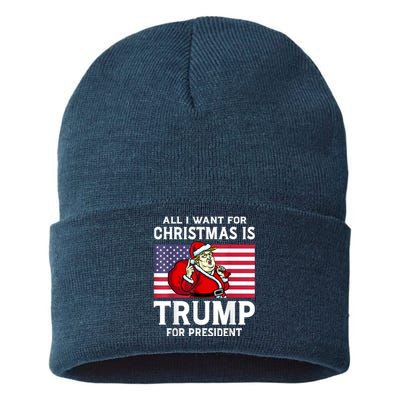 All I Want For Christmas Is Trump For President Trump Back Sustainable Knit Beanie