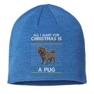 All I Want For Christmas Is A Pug Dog Ugly Xmas Holiday Gift Sustainable Beanie