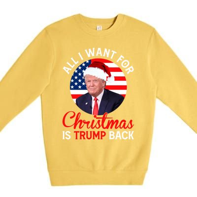 All I Want For Christmas Is Trump Back And New President Gift Premium Crewneck Sweatshirt