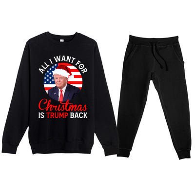 All I Want For Christmas Is Trump Back And New President Gift Premium Crewneck Sweatsuit Set