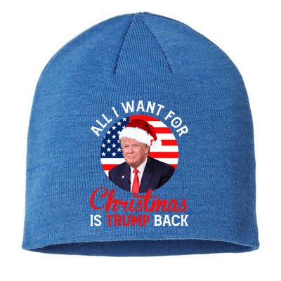 All I Want For Christmas Is Trump Back And New President Gift Sustainable Beanie