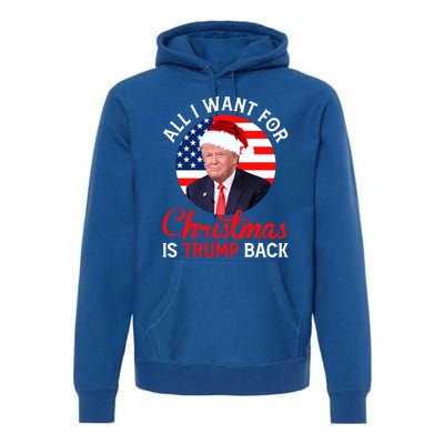 All I Want For Christmas Is Trump Back And New President Gift Premium Hoodie