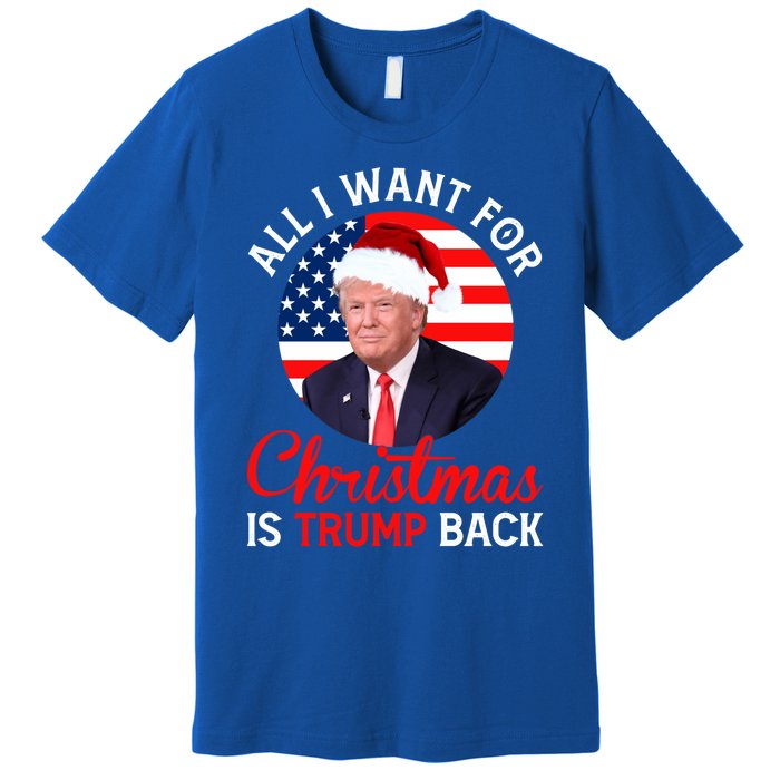 All I Want For Christmas Is Trump Back And New President Gift Premium T-Shirt