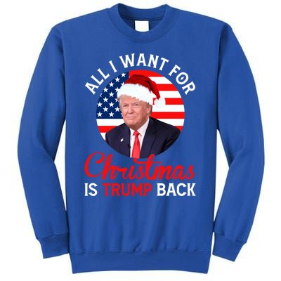 All I Want For Christmas Is Trump Back And New President Gift Tall Sweatshirt