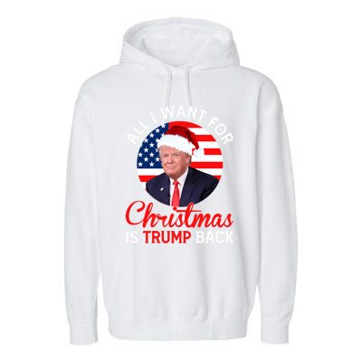 All I Want For Christmas Is Trump Back And New President Gift Garment-Dyed Fleece Hoodie