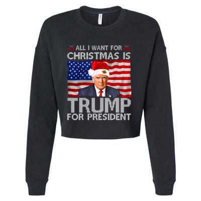 All I Want For Christmas Is Trump For President Trump 2024 Cropped Pullover Crew