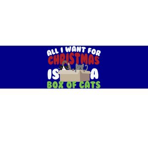 All I Want For Christmas Is A Box Of Cats Gift Bumper Sticker