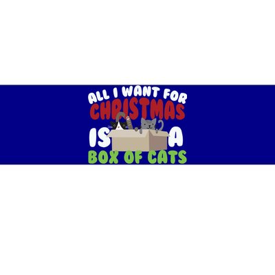 All I Want For Christmas Is A Box Of Cats Gift Bumper Sticker