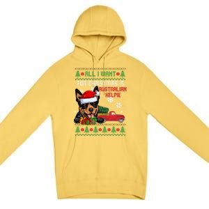 All I Want For Christmas Is Australian Kelpie Christmas Cat Great Gift Premium Pullover Hoodie