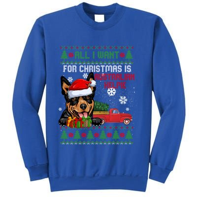 All I Want For Christmas Is Australian Kelpie Christmas Cat Great Gift Sweatshirt