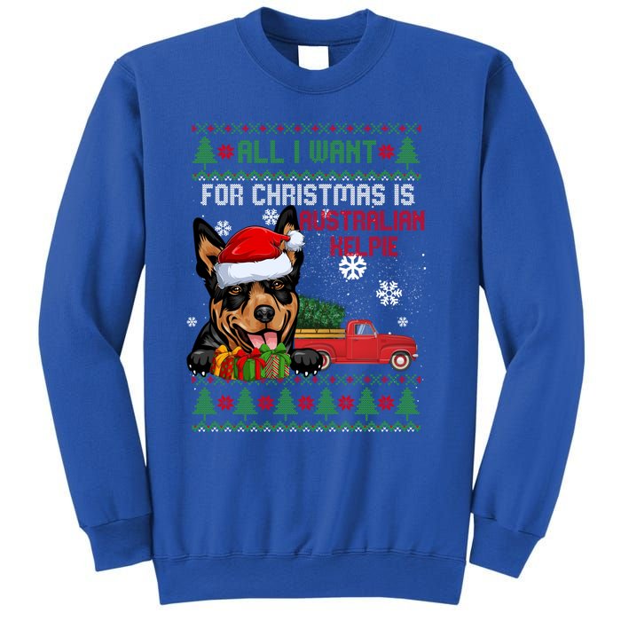 All I Want For Christmas Is Australian Kelpie Christmas Cat Great Gift Sweatshirt