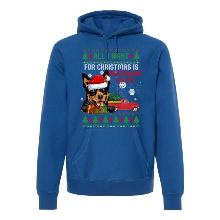 All I Want For Christmas Is Australian Kelpie Christmas Cat Great Gift Premium Hoodie