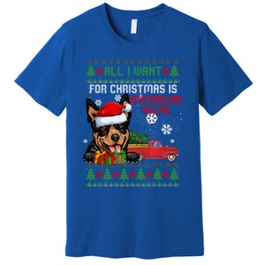 All I Want For Christmas Is Australian Kelpie Christmas Cat Great Gift Premium T-Shirt