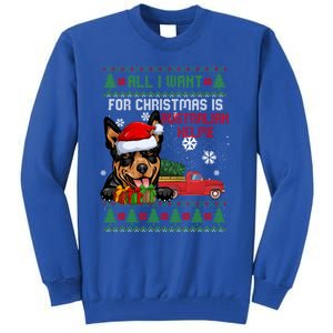 All I Want For Christmas Is Australian Kelpie Christmas Cat Great Gift Tall Sweatshirt