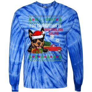 All I Want For Christmas Is Australian Kelpie Christmas Cat Great Gift Tie-Dye Long Sleeve Shirt