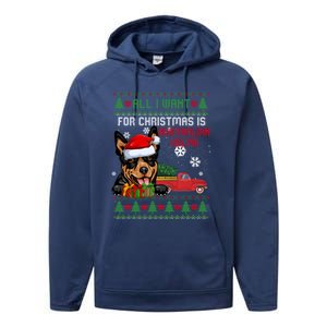 All I Want For Christmas Is Australian Kelpie Christmas Cat Great Gift Performance Fleece Hoodie