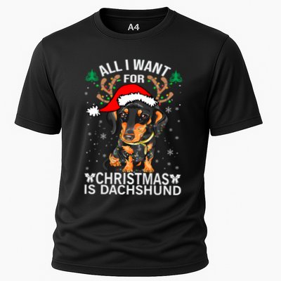All I Want For Christmas Is More Dog Dachshund Christmas Gift Performance Shirt