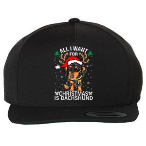 All I Want For Christmas Is More Dog Dachshund Christmas Gift Wool Snapback Cap