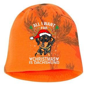 All I Want For Christmas Is More Dog Dachshund Christmas Gift Kati - Camo Knit Beanie