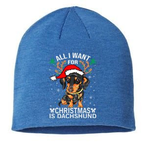 All I Want For Christmas Is More Dog Dachshund Christmas Gift Sustainable Beanie