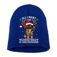 All I Want For Christmas Is More Dog Dachshund Christmas Gift Short Acrylic Beanie