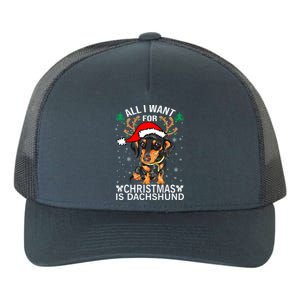 All I Want For Christmas Is More Dog Dachshund Christmas Gift Yupoong Adult 5-Panel Trucker Hat