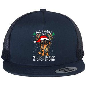 All I Want For Christmas Is More Dog Dachshund Christmas Gift Flat Bill Trucker Hat