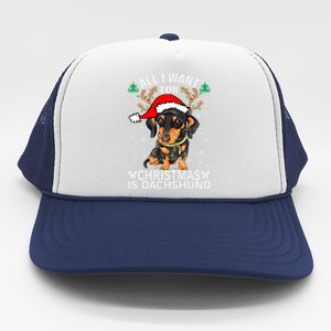 All I Want For Christmas Is More Dog Dachshund Christmas Gift Trucker Hat