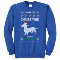 All I Want For My Christmas Dachshund Doxie Dog Ugly Xmas Pj Cute Gift Sweatshirt