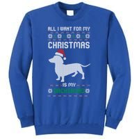 All I Want For My Christmas Dachshund Doxie Dog Ugly Xmas Pj Cute Gift Tall Sweatshirt