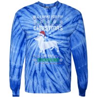 All I Want For My Christmas Dachshund Doxie Dog Ugly Xmas Pj Cute Gift Tie-Dye Long Sleeve Shirt